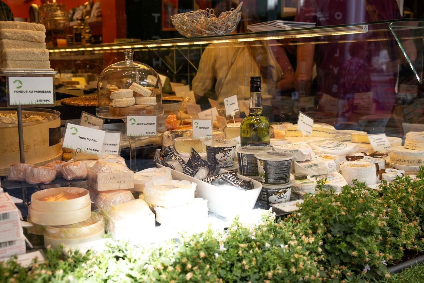 Étal d'une fromagerie française, fromages affinés en vitrine